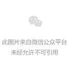 无比落寞的萝卜